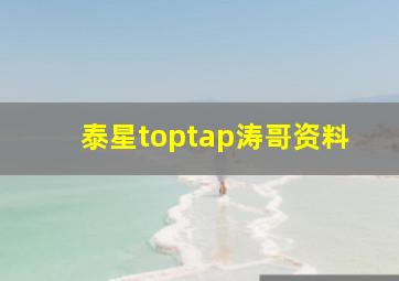 泰星toptap涛哥资料