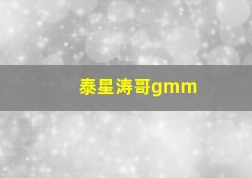 泰星涛哥gmm