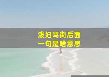 泼妇骂街后面一句是啥意思