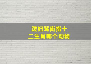 泼妇骂街指十二生肖哪个动物