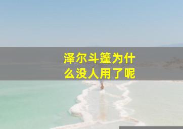 泽尔斗篷为什么没人用了呢