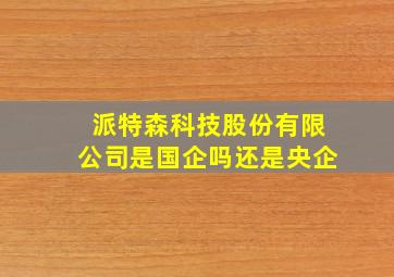 派特森科技股份有限公司是国企吗还是央企