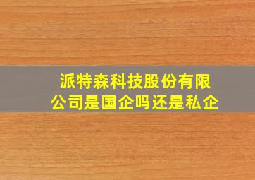 派特森科技股份有限公司是国企吗还是私企