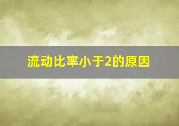 流动比率小于2的原因