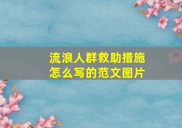 流浪人群救助措施怎么写的范文图片