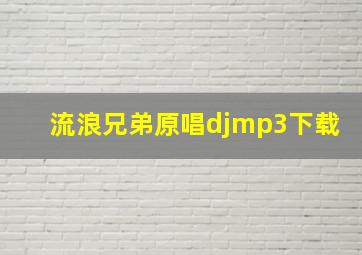 流浪兄弟原唱djmp3下载