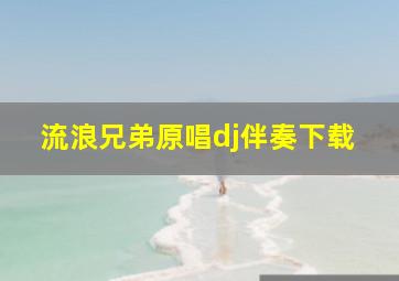 流浪兄弟原唱dj伴奏下载