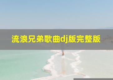 流浪兄弟歌曲dj版完整版