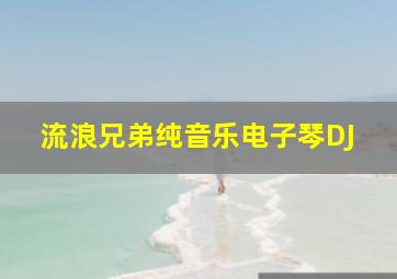 流浪兄弟纯音乐电子琴DJ