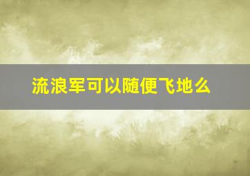 流浪军可以随便飞地么