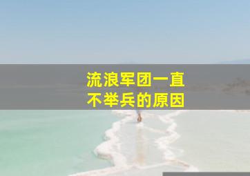 流浪军团一直不举兵的原因