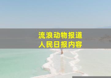 流浪动物报道人民日报内容