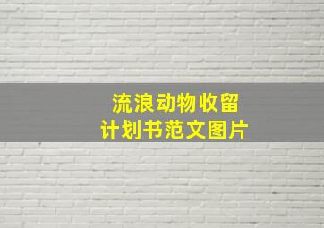 流浪动物收留计划书范文图片