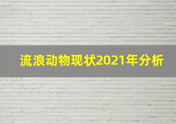 流浪动物现状2021年分析