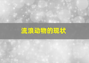 流浪动物的现状