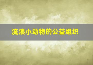 流浪小动物的公益组织