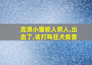 流浪小猫咬人抓人,出血了,该打吗狂犬疫苗