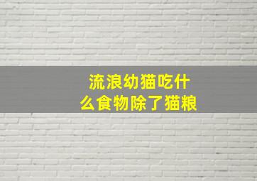 流浪幼猫吃什么食物除了猫粮