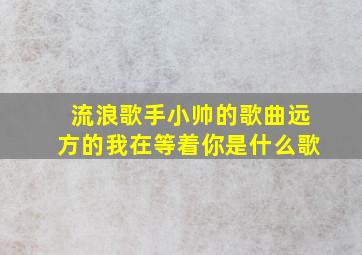 流浪歌手小帅的歌曲远方的我在等着你是什么歌