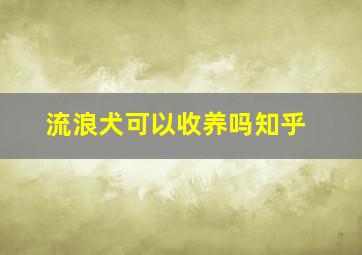 流浪犬可以收养吗知乎