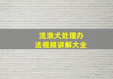 流浪犬处理办法视频讲解大全