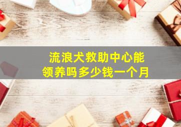 流浪犬救助中心能领养吗多少钱一个月