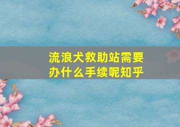 流浪犬救助站需要办什么手续呢知乎