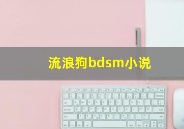 流浪狗bdsm小说