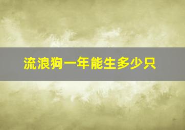 流浪狗一年能生多少只