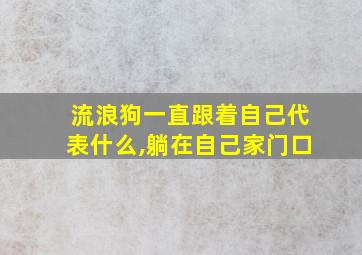 流浪狗一直跟着自己代表什么,躺在自己家门口