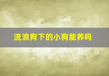 流浪狗下的小狗能养吗