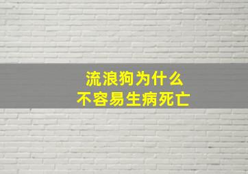 流浪狗为什么不容易生病死亡