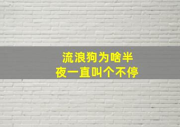 流浪狗为啥半夜一直叫个不停