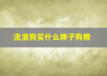 流浪狗买什么牌子狗粮