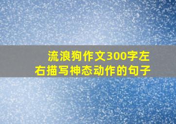 流浪狗作文300字左右描写神态动作的句子