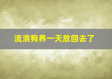 流浪狗养一天放回去了