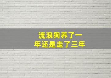 流浪狗养了一年还是走了三年