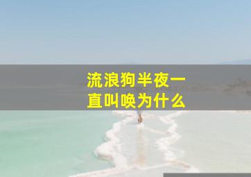 流浪狗半夜一直叫唤为什么