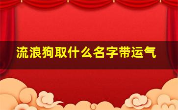 流浪狗取什么名字带运气