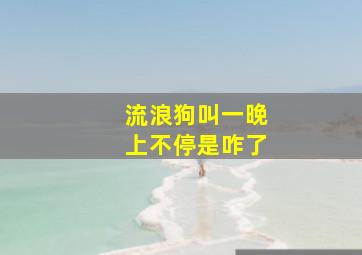 流浪狗叫一晚上不停是咋了