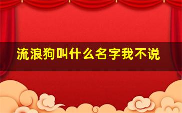 流浪狗叫什么名字我不说