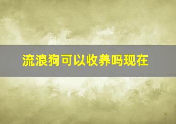 流浪狗可以收养吗现在