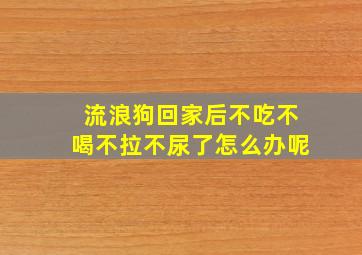 流浪狗回家后不吃不喝不拉不尿了怎么办呢