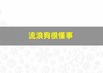 流浪狗很懂事