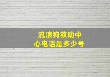 流浪狗救助中心电话是多少号