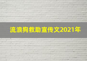 流浪狗救助宣传文2021年