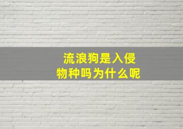 流浪狗是入侵物种吗为什么呢