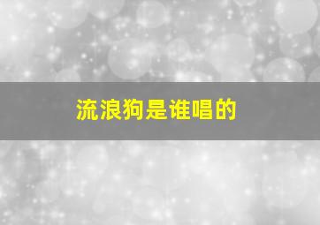 流浪狗是谁唱的