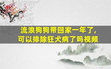 流浪狗狗带回家一年了,可以排除狂犬病了吗视频