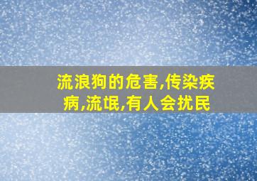 流浪狗的危害,传染疾病,流氓,有人会扰民